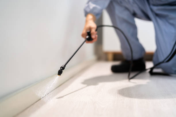 Licensed Rodent Control service in Vermont, VT - Nex Pest Control