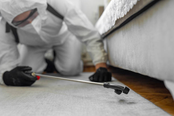 Professional Rodent Control technician working in Vermont, VT